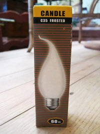 Photo shows one frosted edison frosted lightbulb